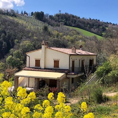 Apartament Ca'Rosei Monteciccardo Zewnętrze zdjęcie