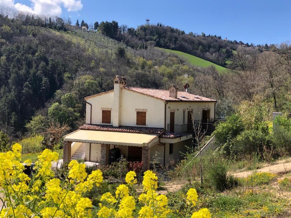 Apartament Ca'Rosei Monteciccardo Zewnętrze zdjęcie