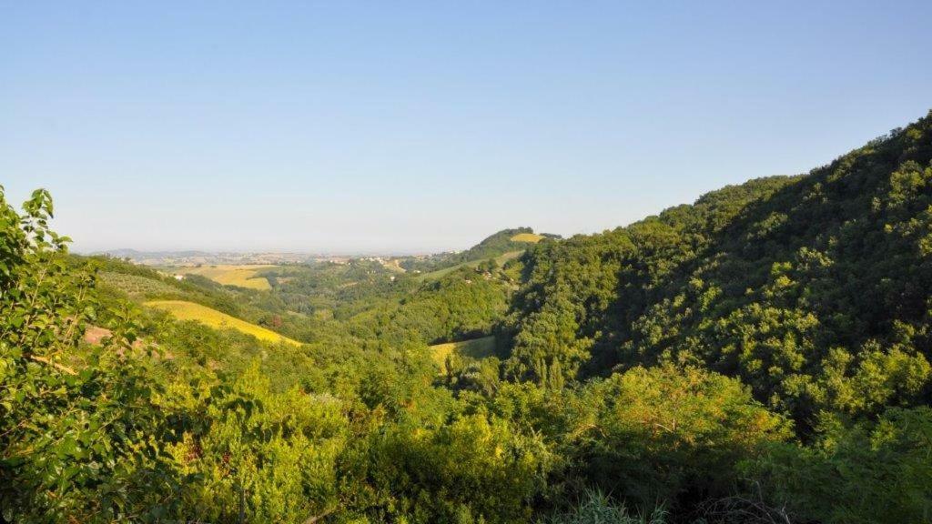 Apartament Ca'Rosei Monteciccardo Zewnętrze zdjęcie